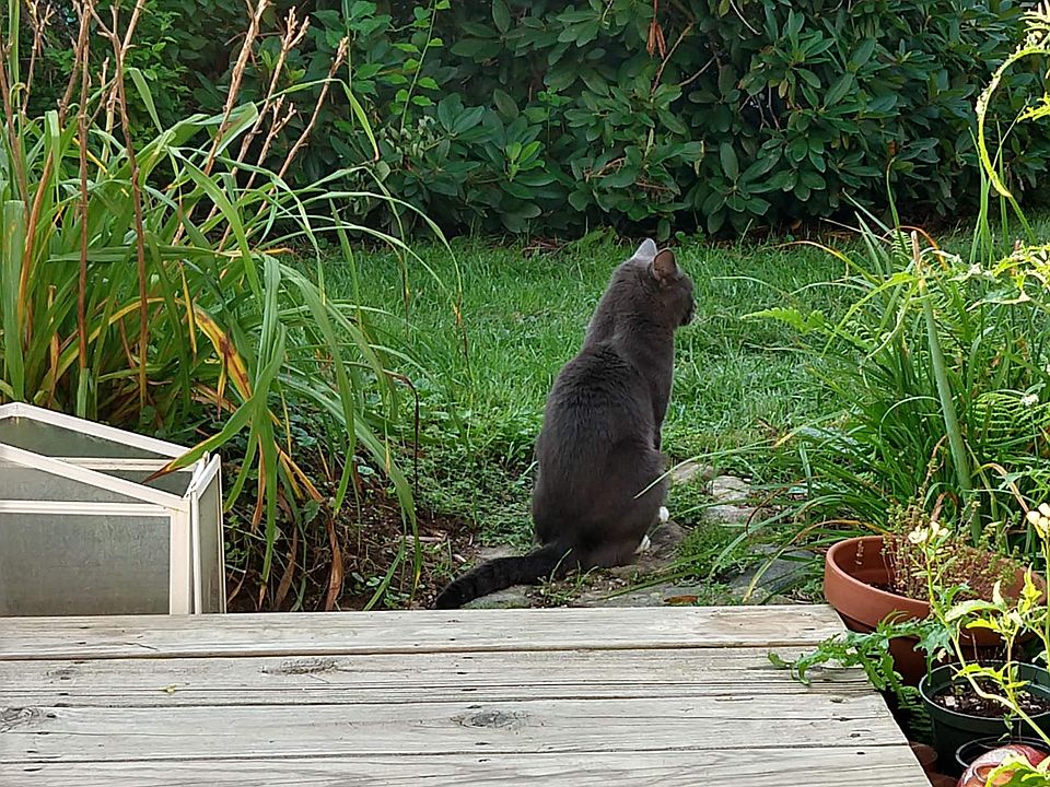 Brook At Amherst Condominiums 170 E Hadley Rd Amherst, MA Zillow