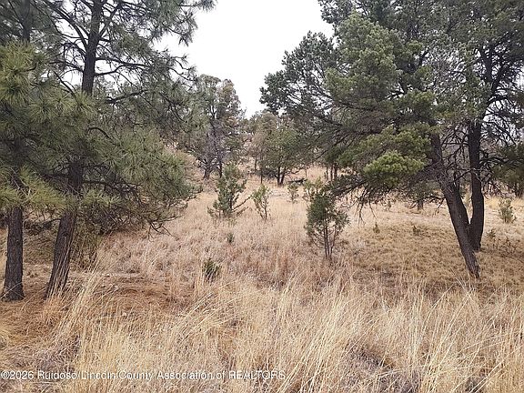 3rd image of 123 Deer Valley Dr