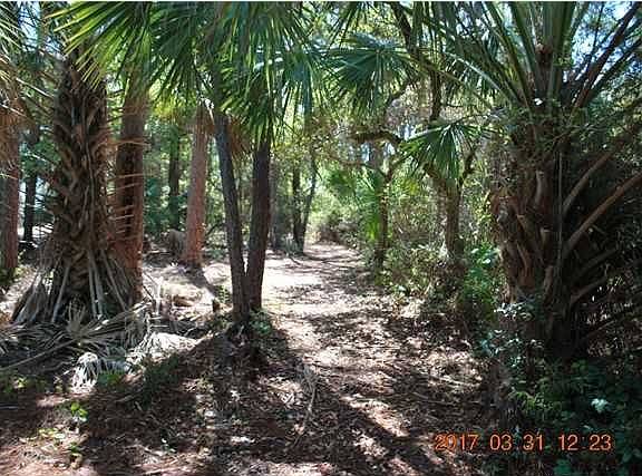 4th image of 1860 Suzie Ct W