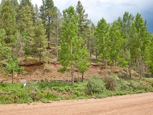 778 Vivenda Rd, Cripple Creek, CO 80813