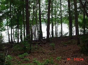 1st image of 1319 Lakeshore Estate Drive