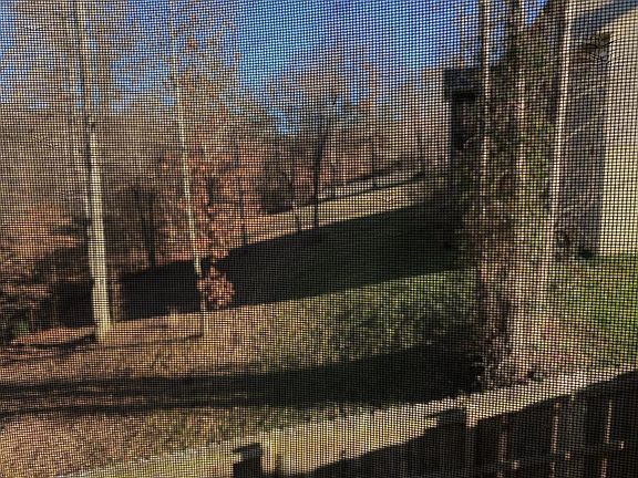 4th image of 138 High View Ln
