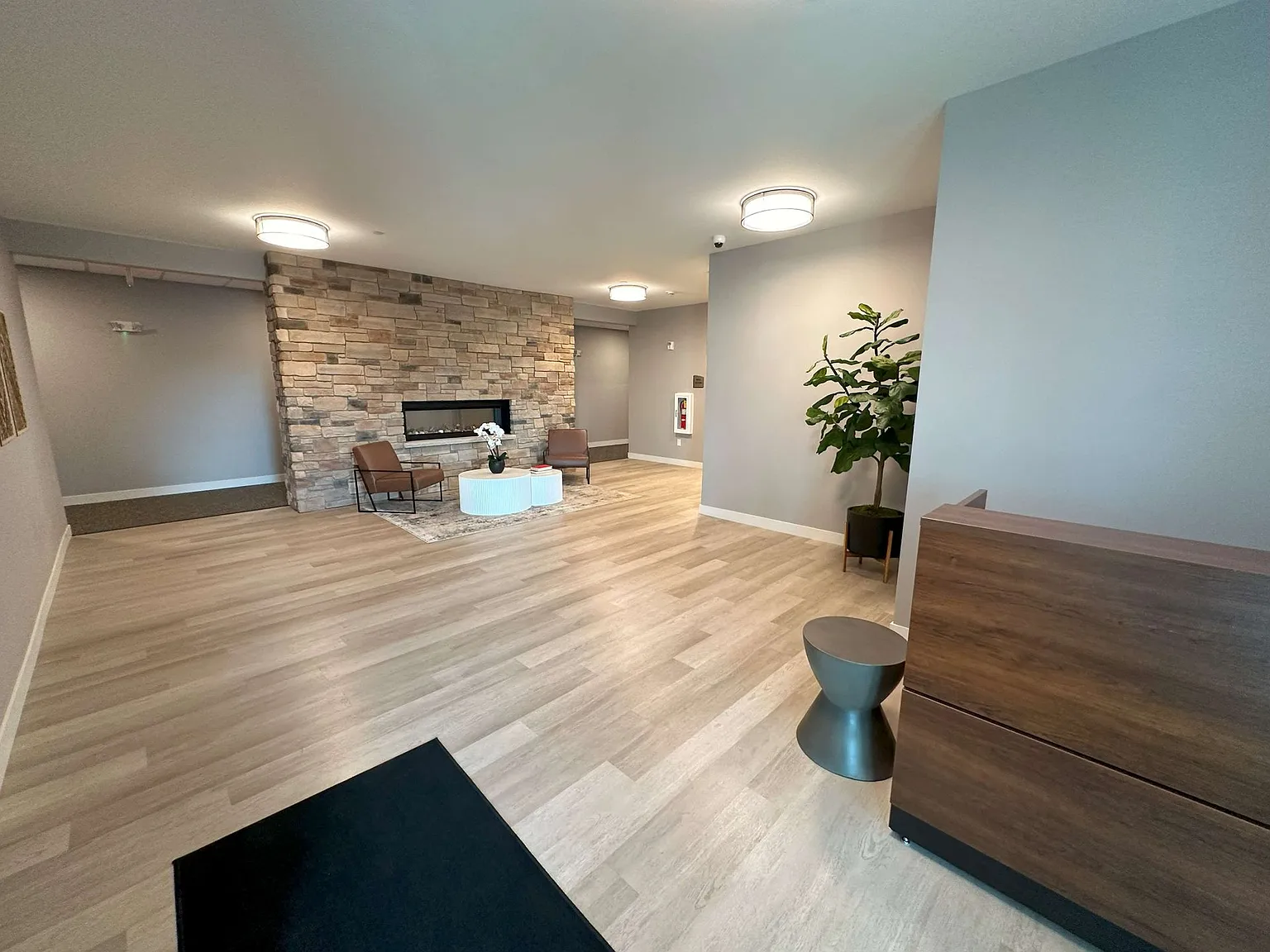 Colorado Commons - 143 N Wildwood St — Photo 4