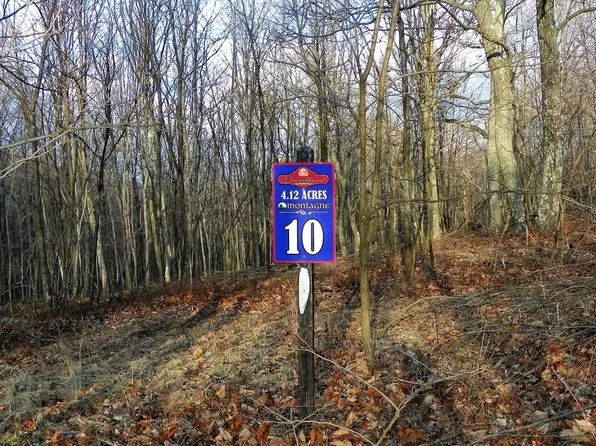 16326 Laurelhurst Blvd, Cresaptown, MD 21502