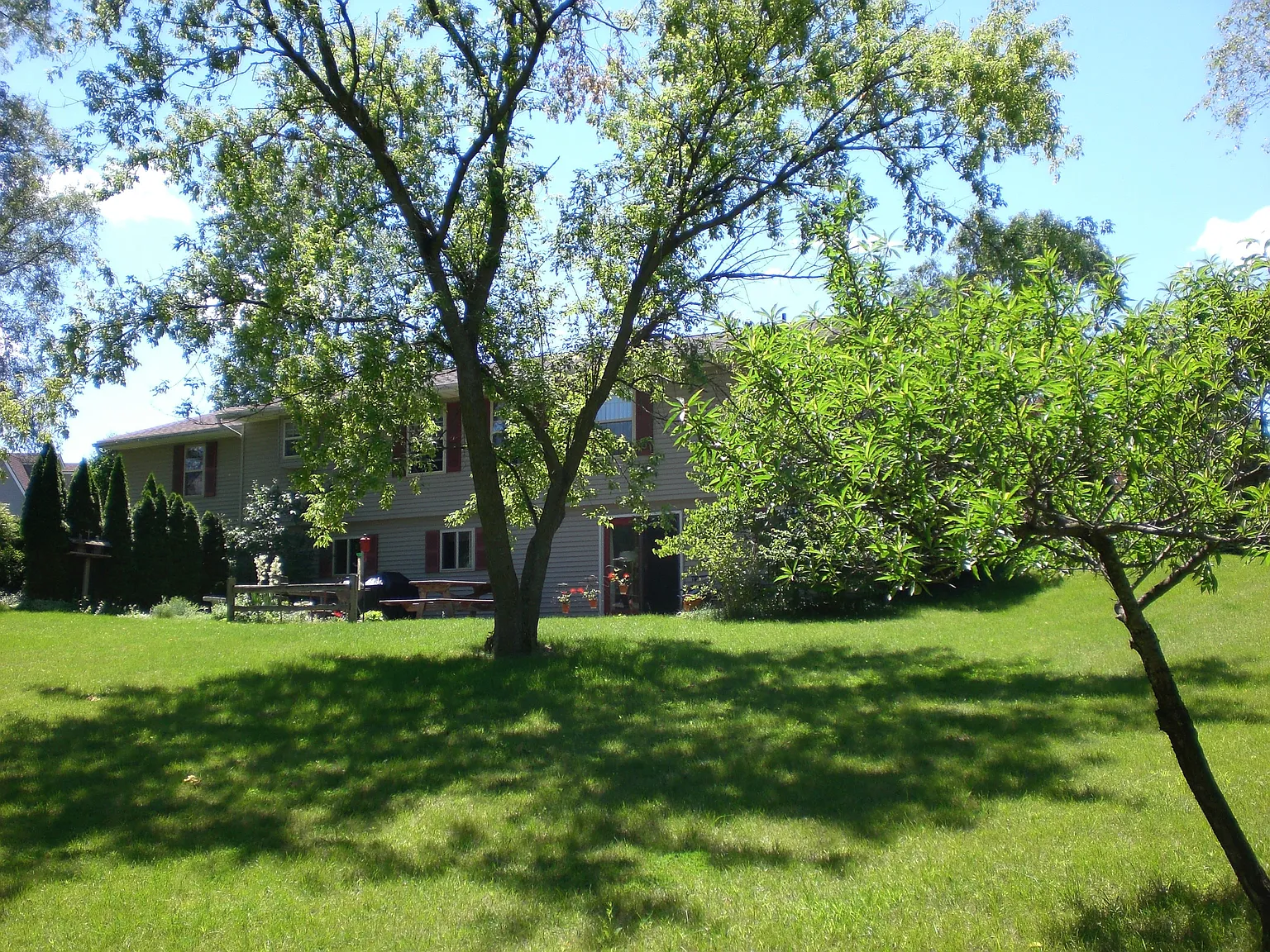 99 Mower Rd photo 1