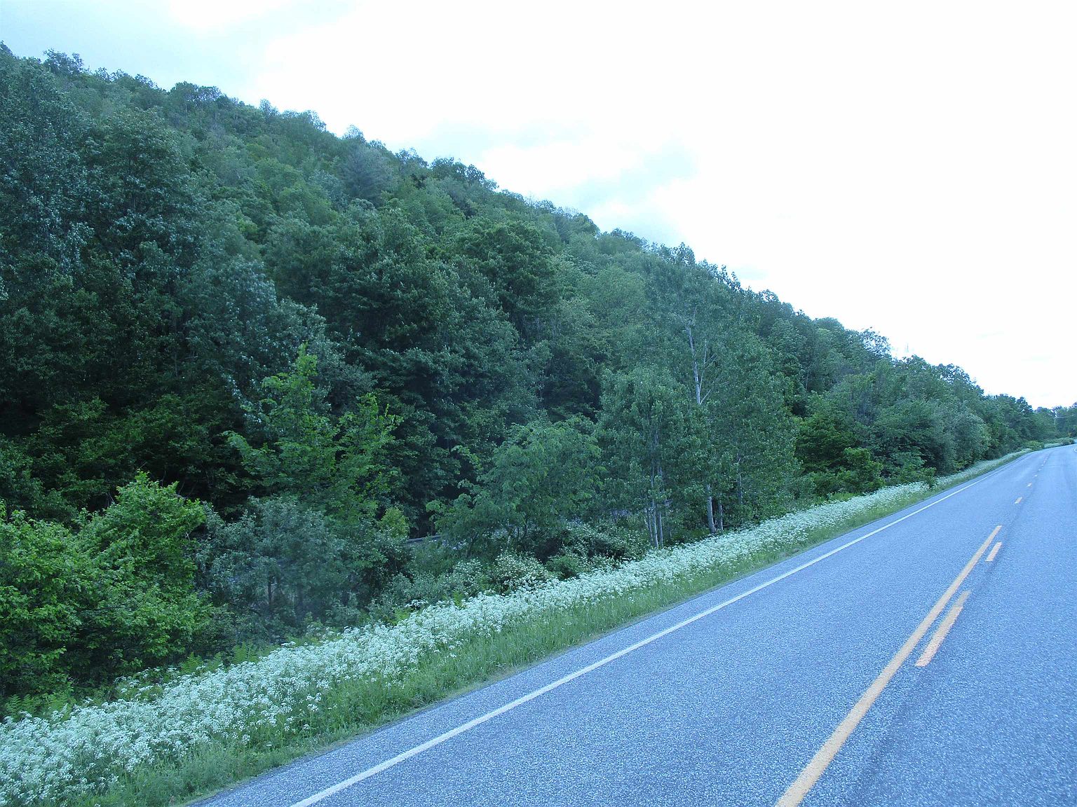 0 VT Route 12A, Randolph, VT 05060 | Zillow