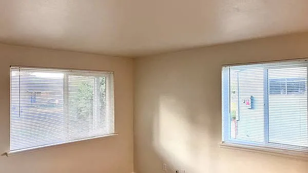 259 Connors Ave — Photo 7