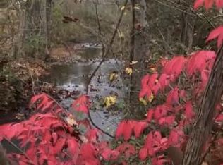 321 Fudges Chapel Rd, Surgoinsville, TN 37873