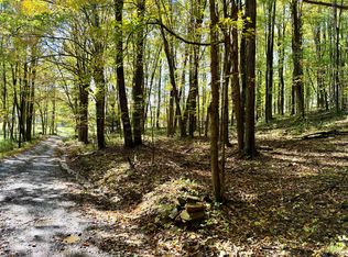 Riley Ln, Fenwick, WV 26202