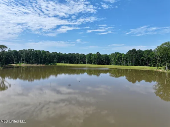Springwood Trl #3, Flora, MS 39071
