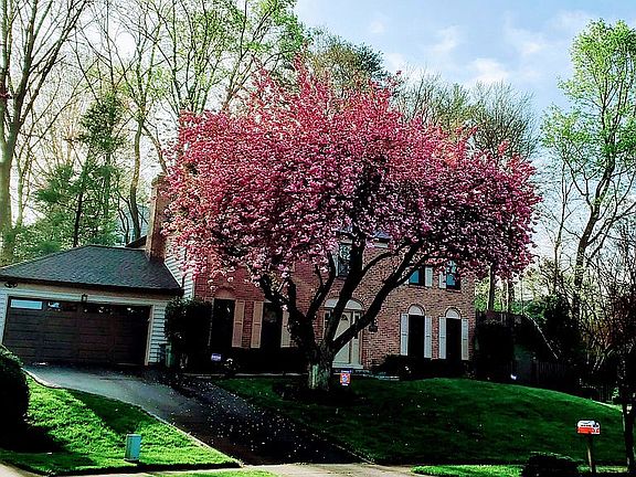 2nd image of 11701 Dinwiddie Dr