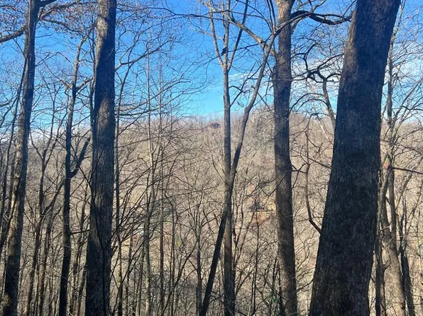 Lot # 2 Mount Tabor, Topton, NC 28781