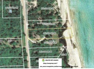 32930 E Side Dr, Beaver Island, MI 49782