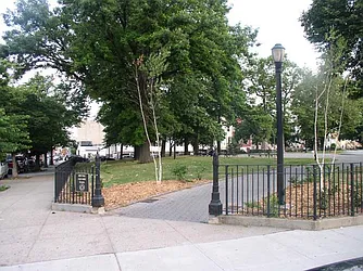 Rented by BIG Management NY