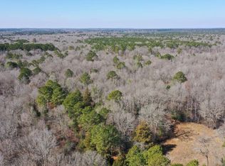 0 Private Rd #43, Bivins, TX 75555