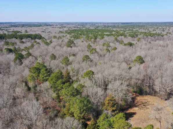 0 Private Rd #43, Bivins, TX 75555