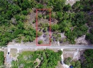 2114 Irving Ave, Alva, FL 33920