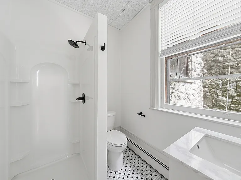 245 Clinton St #1 — Photo 6