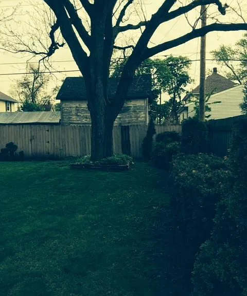 230 Riverview Ave — Photo 15
