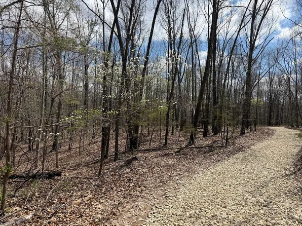 Tr 3 Lot F Tbd, Rogersville, MO 65742