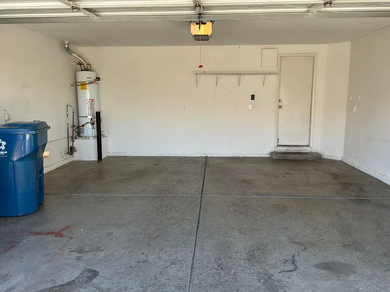 10115 Lemon Thyme St — Photo 59