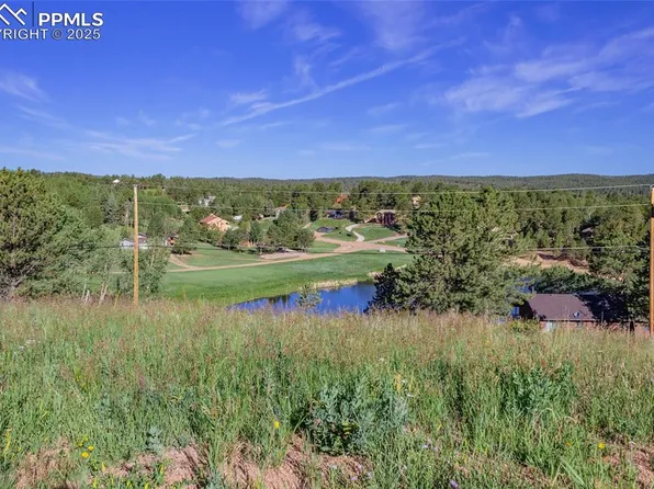 288 Piney Point Ln, Woodland Park, CO 80863