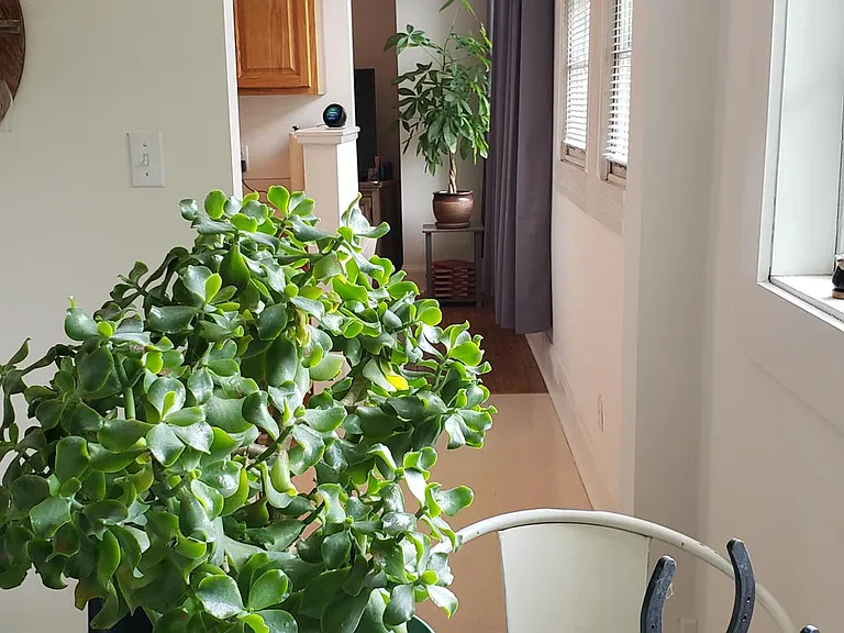1701 N Delaware St — Photo 38