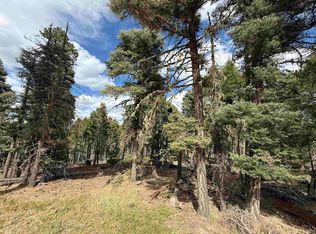 Lot 28 Calle de los Indios, Angel Fire, NM 87710