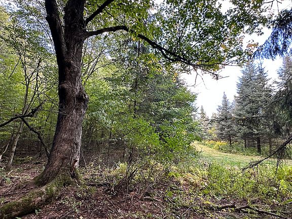 4th image of McAndrews Rd Lot 7
