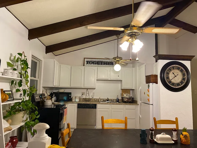 203 Land Or Dr — Photo 10