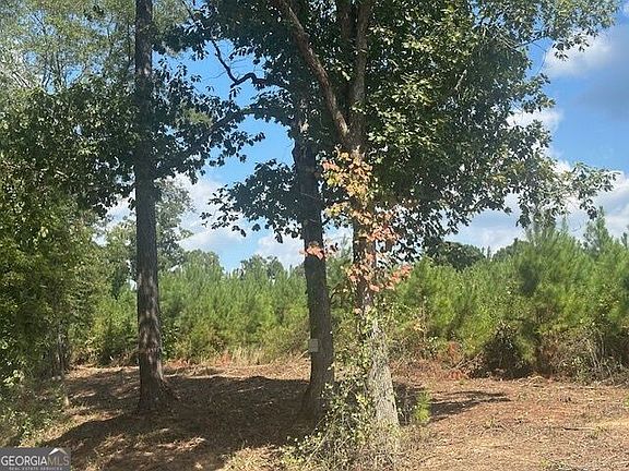 3rd image of 0 Millen Rd Tract 17
