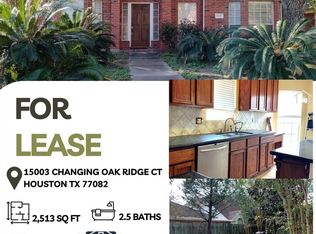 15003 Changing Oak Ridge Ct, Houston, TX 77082