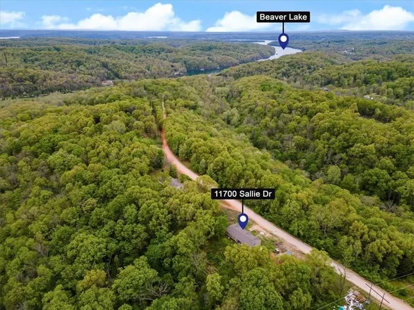 11700 Sallie Dr, Rogers, AR 72756