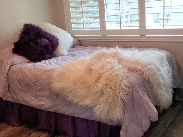 (undisclosed Address), Petaluma, CA 94952