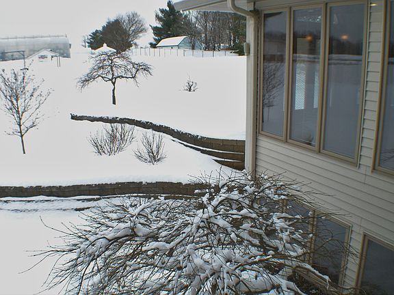 6244 Ivanrest - Backyard_01282016