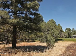 1101 N Clark Rd, Show Low, AZ 85901