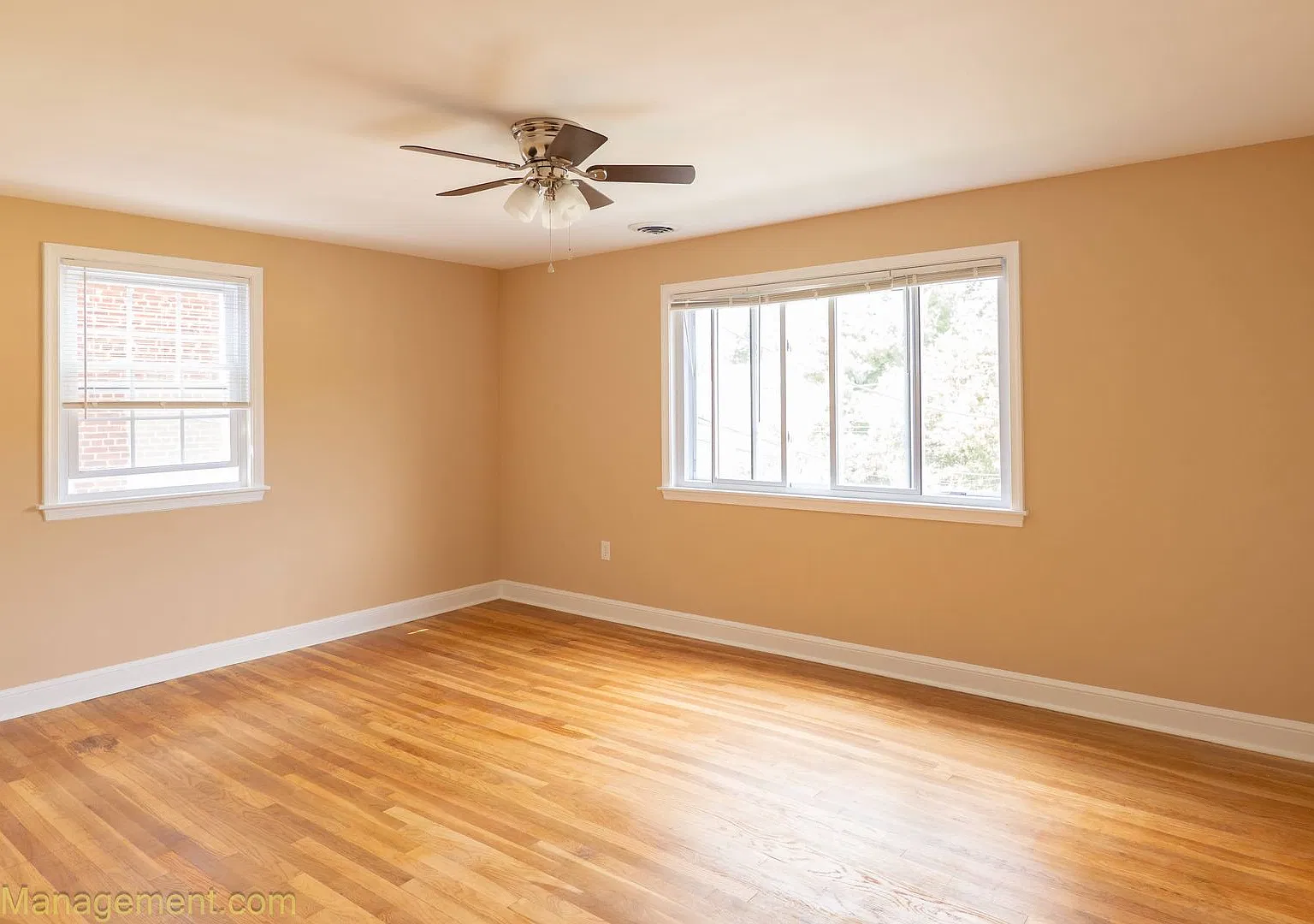 8805 Plymouth Street Fhy Properties, Llc — Photo 4