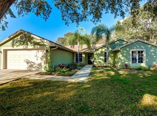 10316 Ashley Oaks Dr, Riverview, FL 33578