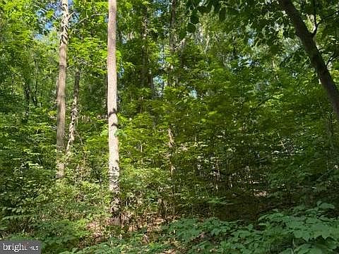 2nd image of LOT 413 Easy Holw