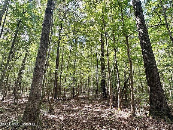 3rd image of 3 Clara Foote Rd