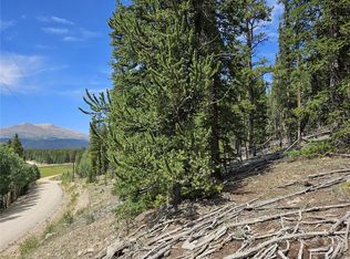 Pcs 44083 Co Rd #1, Fairplay, CO 80440