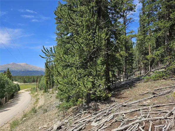 Pcs 44083 Co Rd #1, Fairplay, CO 80440