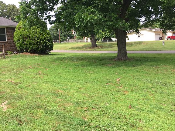 Large pecan tree