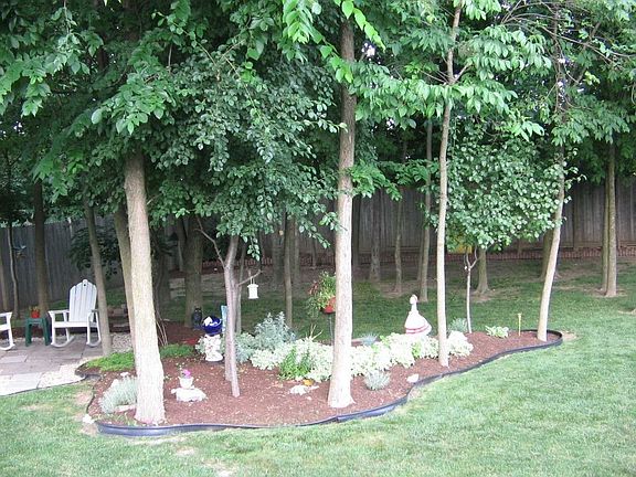 Park like setting backyard