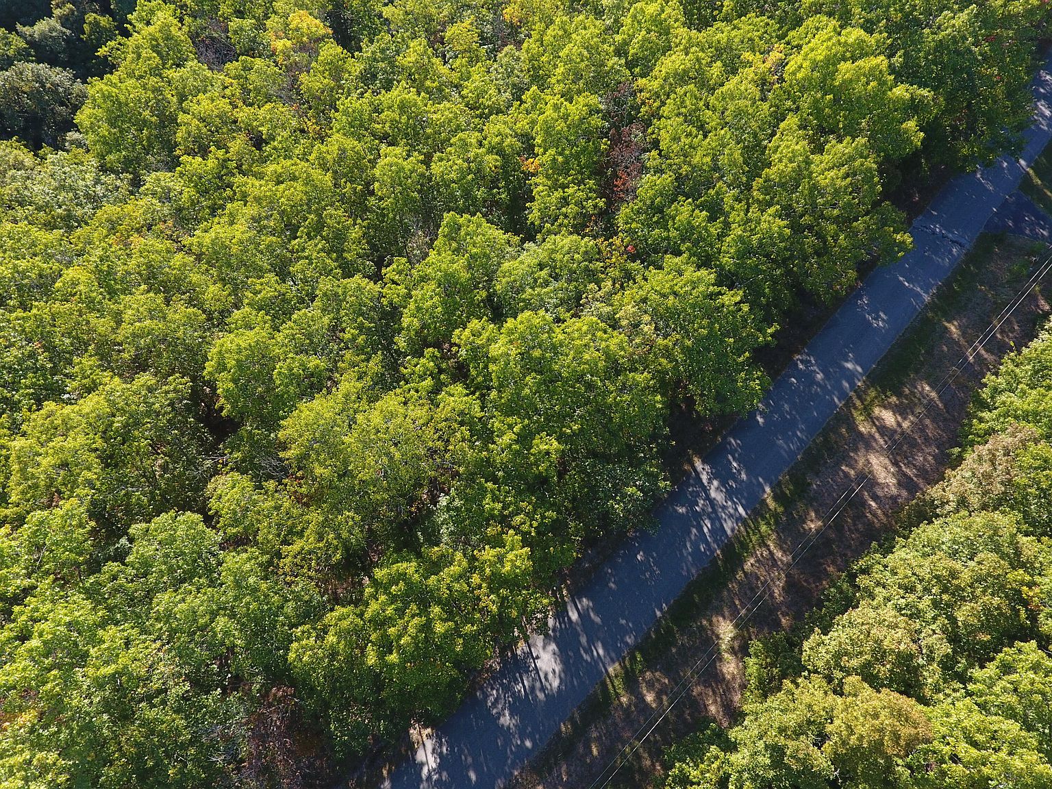 119 Walnut Springs Drive, Cape Fair, MO 65624 MLS 60229486 Zillow