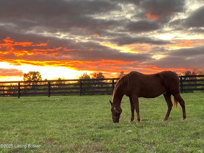 LOT 11 Equestrian Lakes Ln, Finchville, KY, 40022