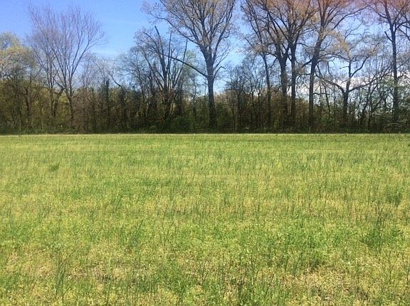 bordered with tree line