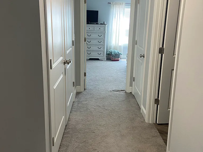 Mountain Ash Ln — Photo 8
