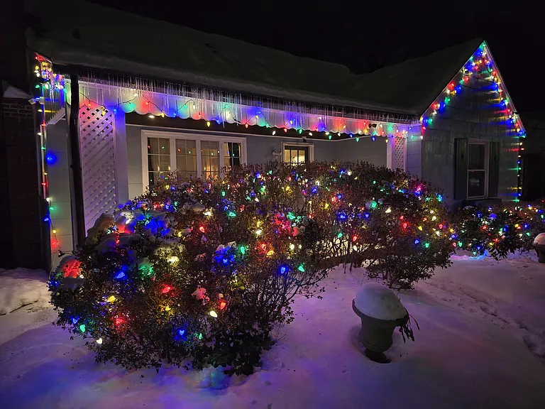 Looks good, even in winter.
