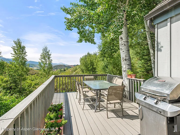 927 Red Mountain Rd — Photo 34